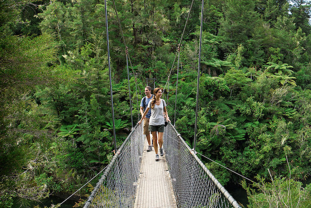 man and woman walking on a suspended bridge in the jungle.