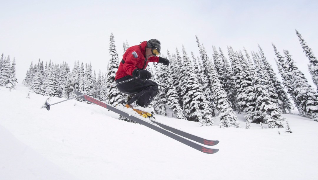 Alpine skier with trees in background