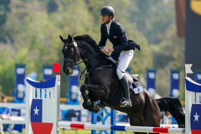 An equestrian in blue jacket jumps with a black horse over a rail obstacle
