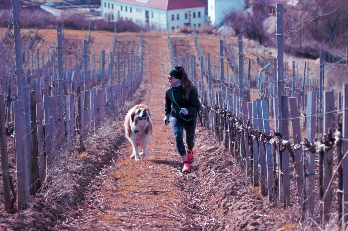 Ivanie Blondin jogs alongside her dog on a dirt path