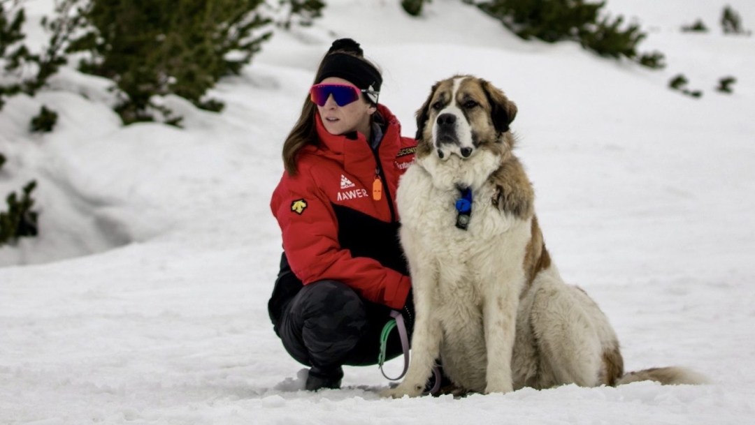 Ivanie Blondin crouches beside her dog in a snowy background
