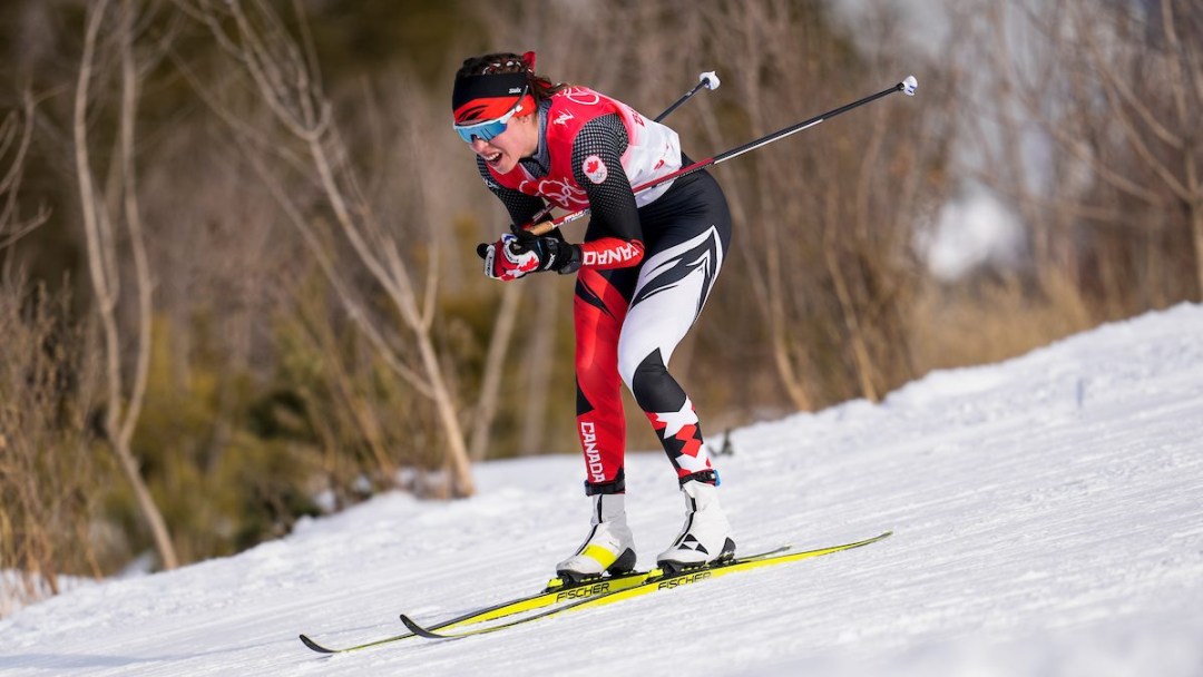 A cross-country skier glides downhill