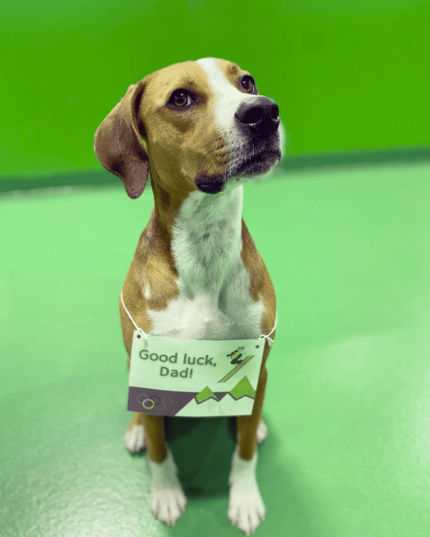 A tan and white dog sits with a sign around his neck that says good luck dad