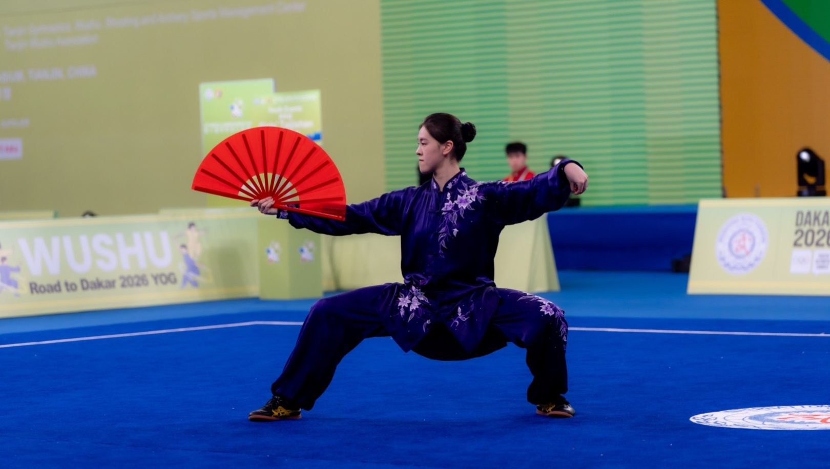 What is Wushu?  - Team Canada